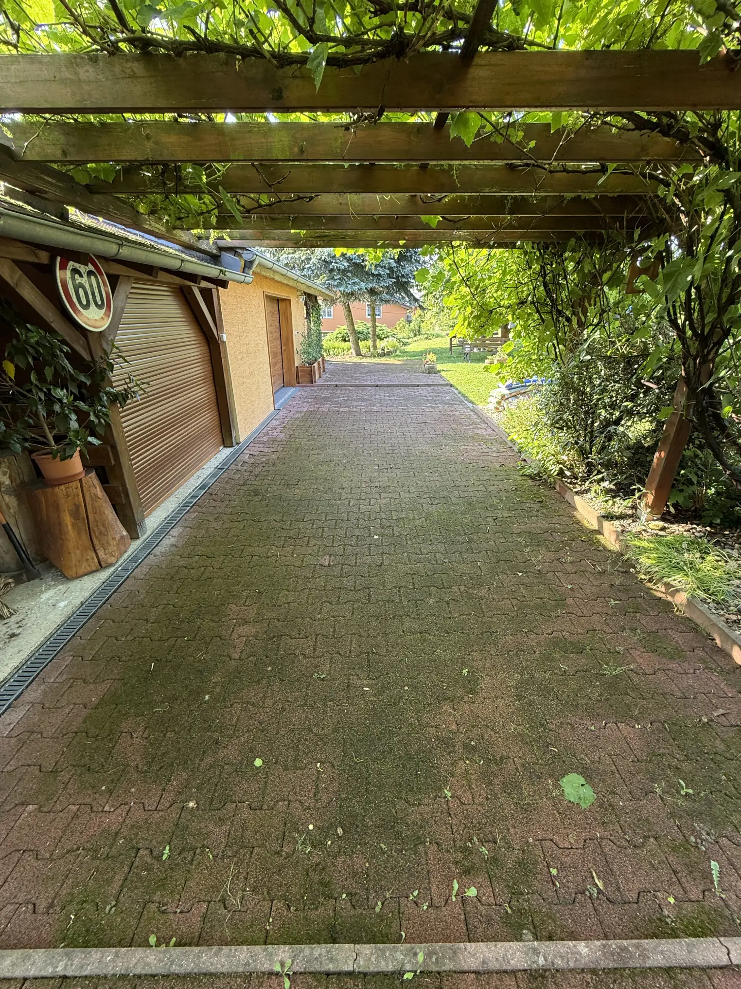Chodník před čištěním
