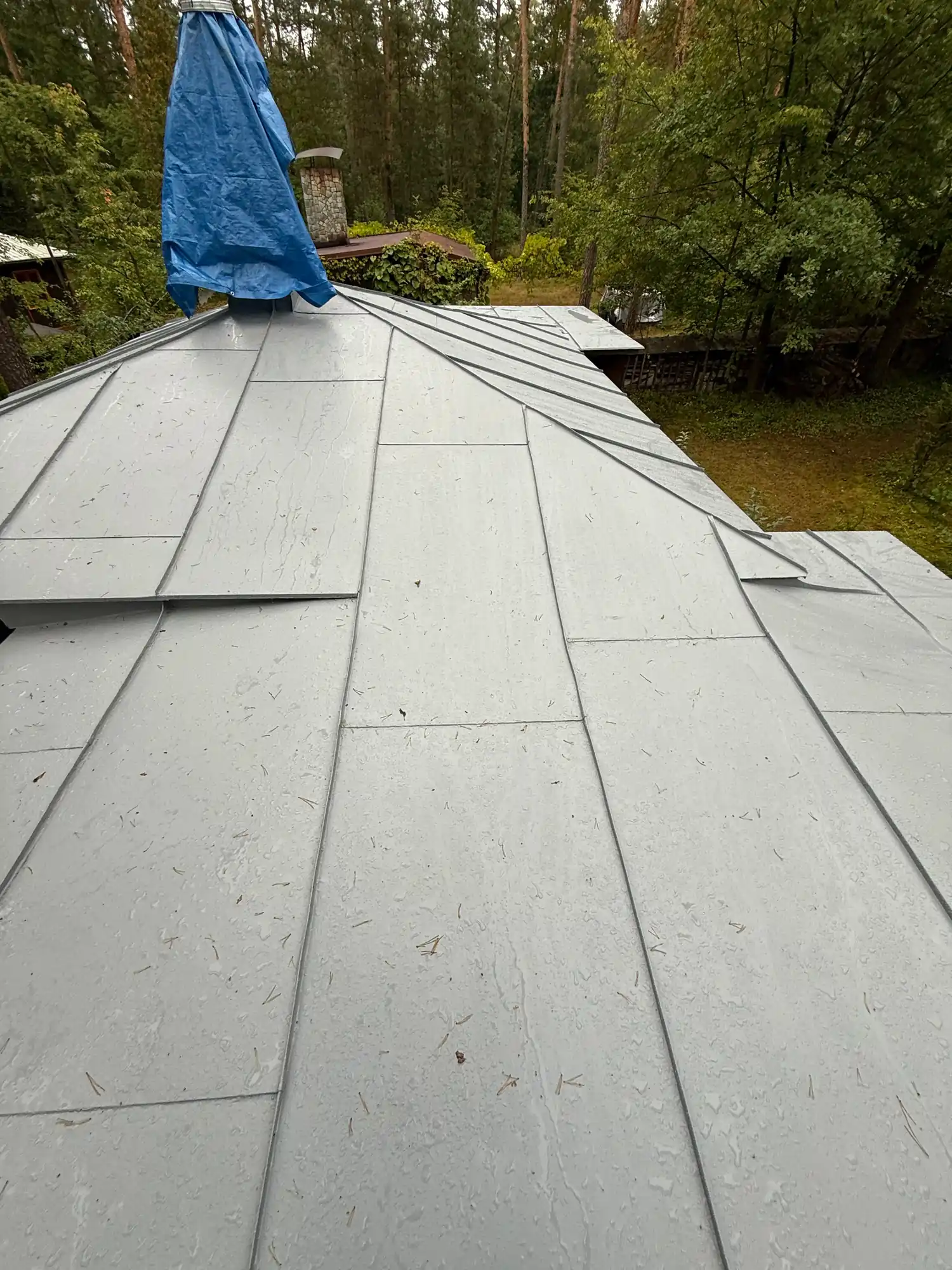 Čištění střechy